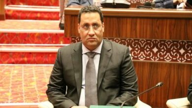 Photo of الوزير الأول: الحكومة ستسهل وتواكب كل إجراءات التحضير للحوار