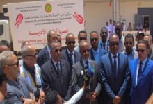 Photo of وزير الصحة: الأدوية بالبلد لم تعد بتلك الفوضوية وأصبحت مضبوطة المصدر