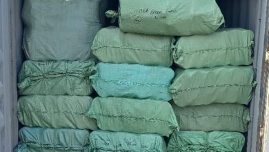 Photo of الجمارك تعلن ضبط أدوية مهرّبة بحاويات في ميناء نواكشوط