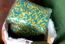 Photo of الجمارك تحبط محاولة تهريب كميات من الأدوية عبر ميناء نواكشوط