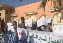 Photo of العمال المتعاونون في القطاع الحكومي: آفاق التسوية وتحديات الواقع –  موقع  أخر قرار