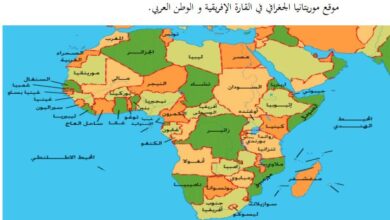 Photo of موريتانيا في قلب التنافس الدولي بالساحل – موقع أخر قرار