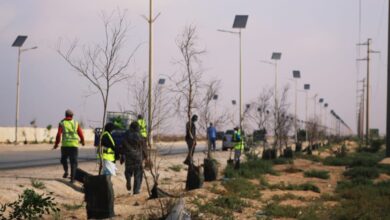 Photo of “مشروع تشجير شوارع نواكشوط بين أهمية البيئة وفشل الرقابة.. هل ضاعت الأموال دون جدوى؟ – موقع أخر قرار “