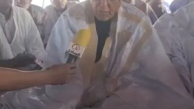 Photo of جكني: لا تنازل عن شبر واحد من “أبوش 10”.. ونثق في إنصاف الرئيس (فيديو)