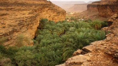 Photo of موظفون كبار يلغون حجوزاتهم لقضاء العطلة الصيفية في الخارج تناغما مع توجه السلطات إلى السياحة الداخلية