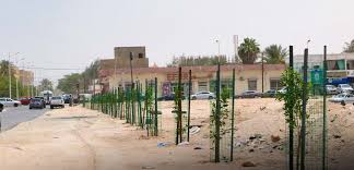 Photo of مشروع تشجير شوارع نواكشوط… ما بين الآمال والانتكاسات – موقع أخر قرار