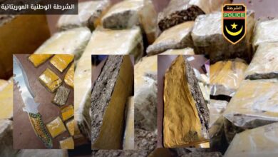 Photo of الشرطة تفكك شبكة تنشط في بيع المخدرات في نواكشوط