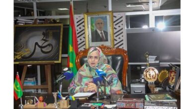 Photo of وزيرة التجارة: المهرجانات ساهمت في تحريك عجلة الاقتصاد المحلي