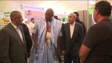 Photo of رئيس الجمهورية يعطي إشارة انطلاق الحملة الوطنية لزراعة الخضروات