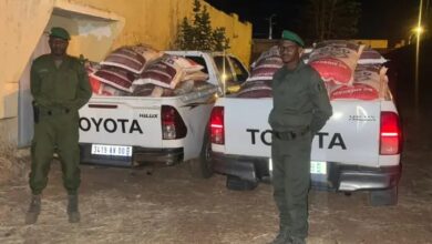 Photo of الجمارك تضبط كميات من الأرز المهرب في ولايتي گورگول
