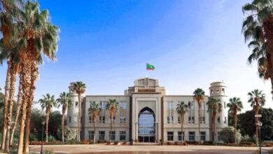 Photo of تعيين الحضرامي وداد محمود مفوضا مساعدا لحقوق الإنسان