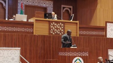 Photo of وزير المعادن يعرض إصلاحات القطاع أمام البرلمان خلال جلسة علنية