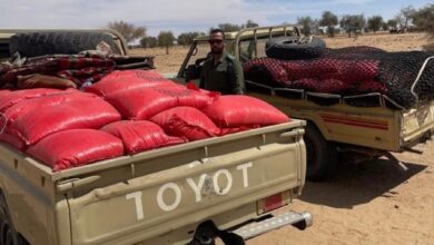 Photo of الجمارك تضبط محاولة تهريب 4 أطنان و750 كلغ من الأرز شرقي البلاد