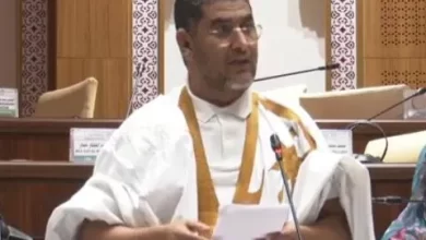 Photo of برلماني: منع متقاعدي الجيش من السياسية قد يتحول إلى تقييد للحريات